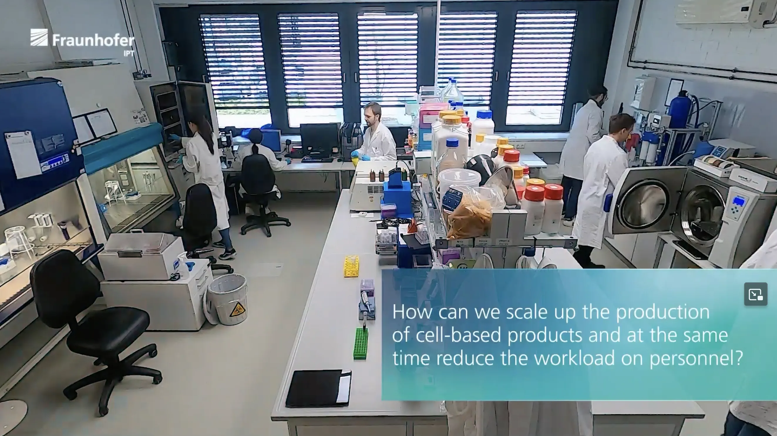 Lab!